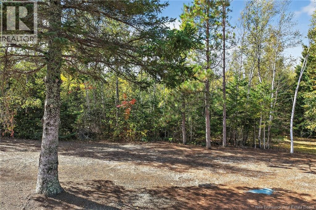 141 Cartier, Shediac, New Brunswick  E4P 1L3 - Photo 7 - NB131492