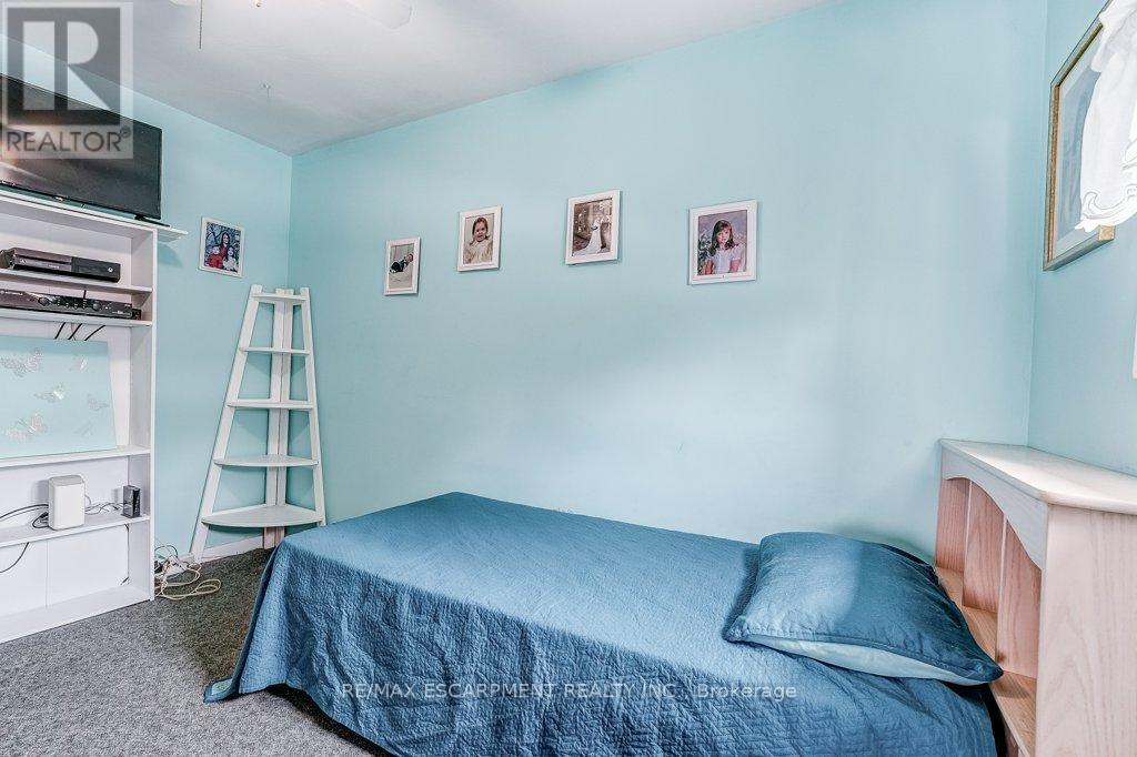 9188 Dickenson Road W, Hamilton, Ontario  L0R 1W0 - Photo 20 - X12737546