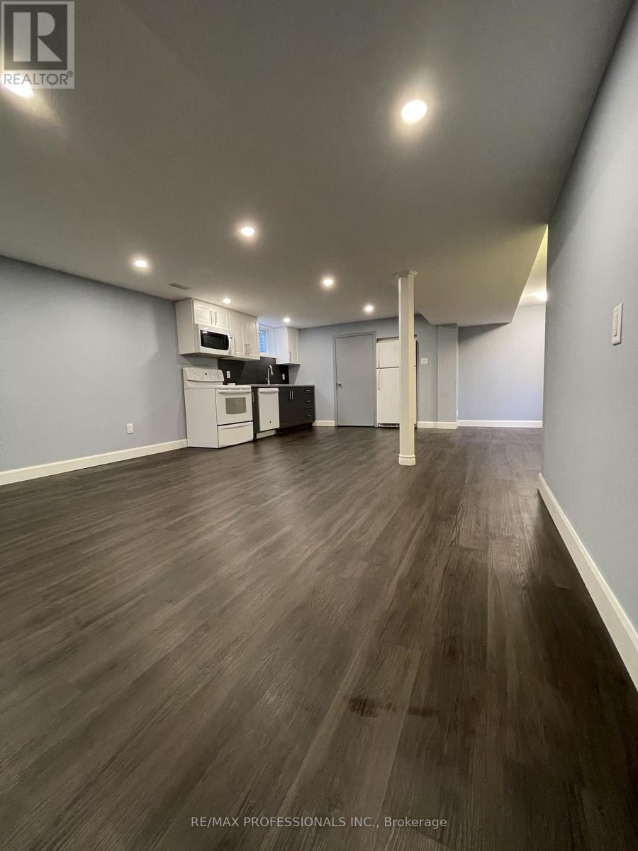 Lower - 49 Barwood Crescent, Kitchener, Ontario  N2E 1T9 - Photo 3 - X12515326