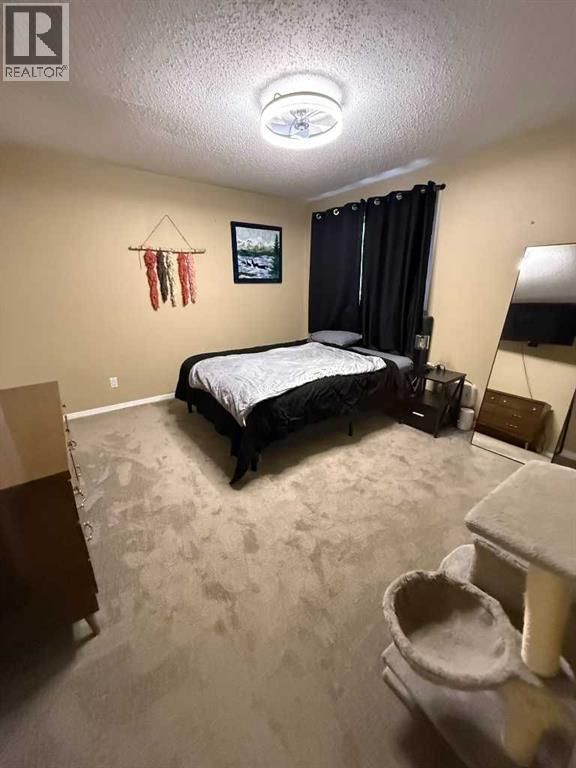 10402 101 Street, High Level, Alberta  T0H 1Z0 - Photo 9 - A2282284