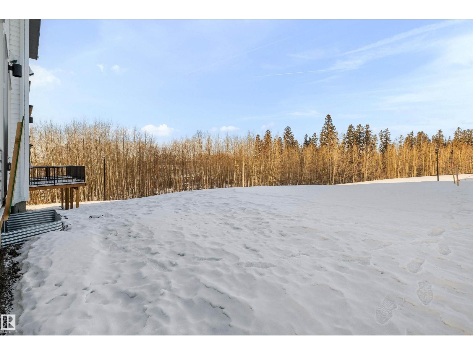 4182 Kinglet Dr Nw, Edmonton, Alberta  T5S 0W1 - Photo 44 - E4471355