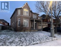 BASEMENT - 11 PINE LANDING TRAIL, Brampton, Ontario