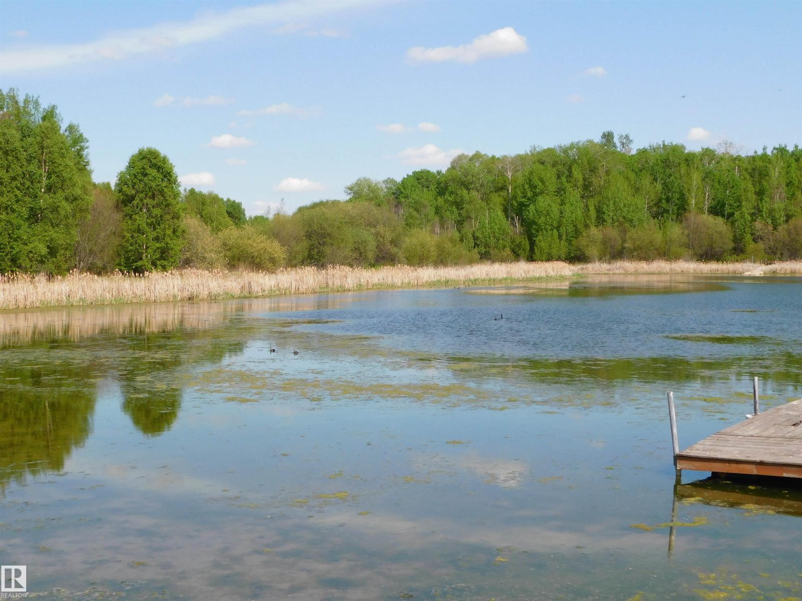 52123 Rge Road 25, Rural Parkland County, Alberta  T0E 0H0 - Photo 4 - E4471211