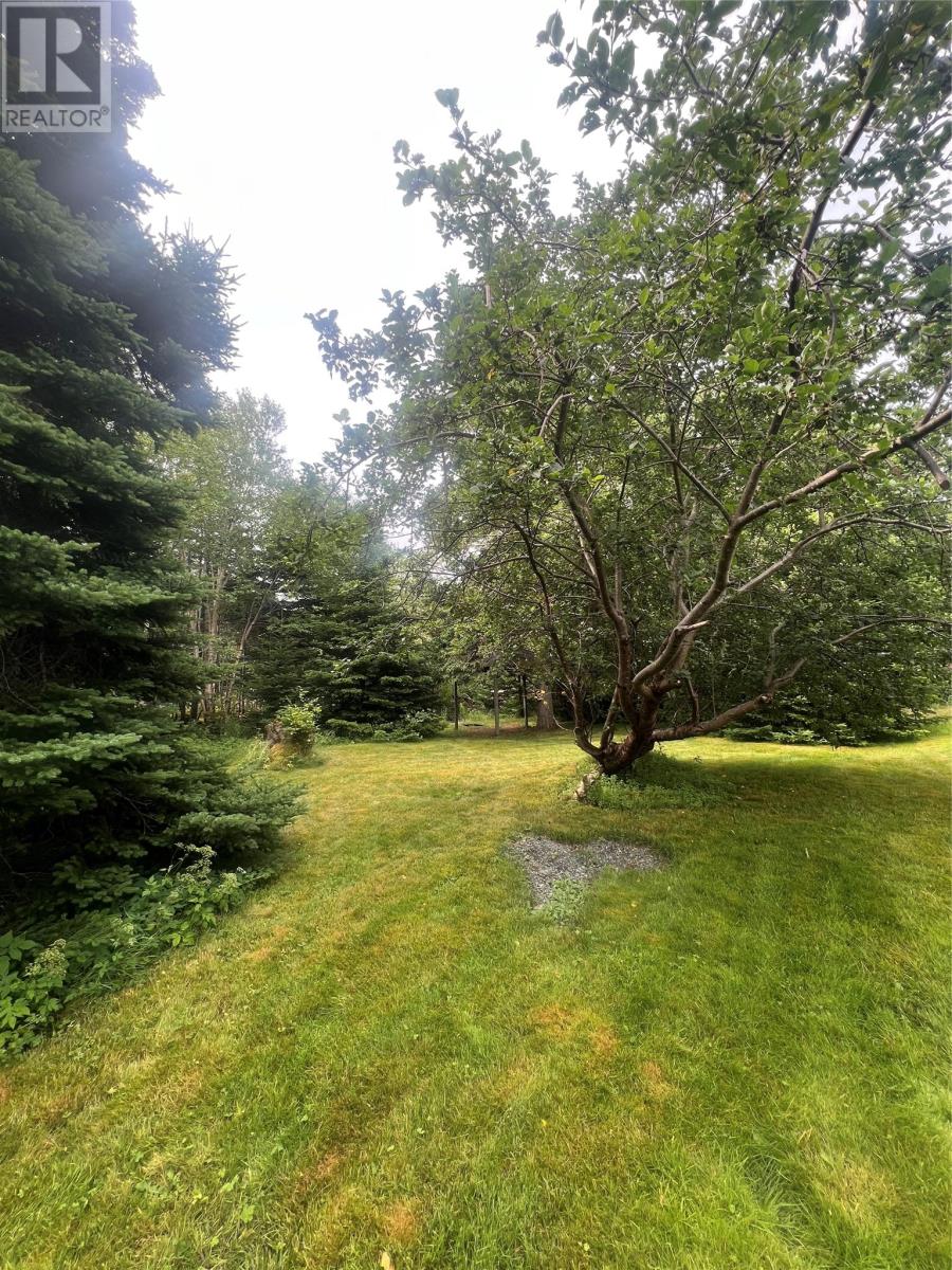 1183-1189 Thorburn Road, Portugal Cove-St. Philips, Newfoundland & Labrador  A1M 1T4 - Photo 41 - 1294159