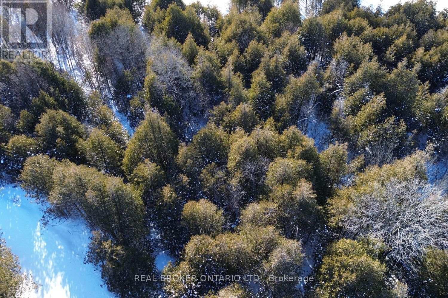 Lot 2 Kyle Road, Augusta, Ontario  K0G 1R0 - Photo 33 - X12737964