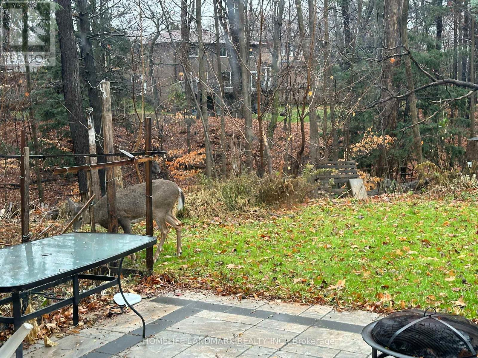 2 Craigmont Drive, Toronto, Ontario  M2H 1C5 - Photo 23 - C12710300