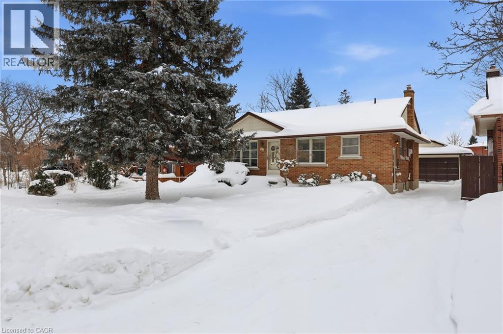 81 Clive Road, Kitchener, Ontario  N2H 3N5 - Photo 44 - 40800995