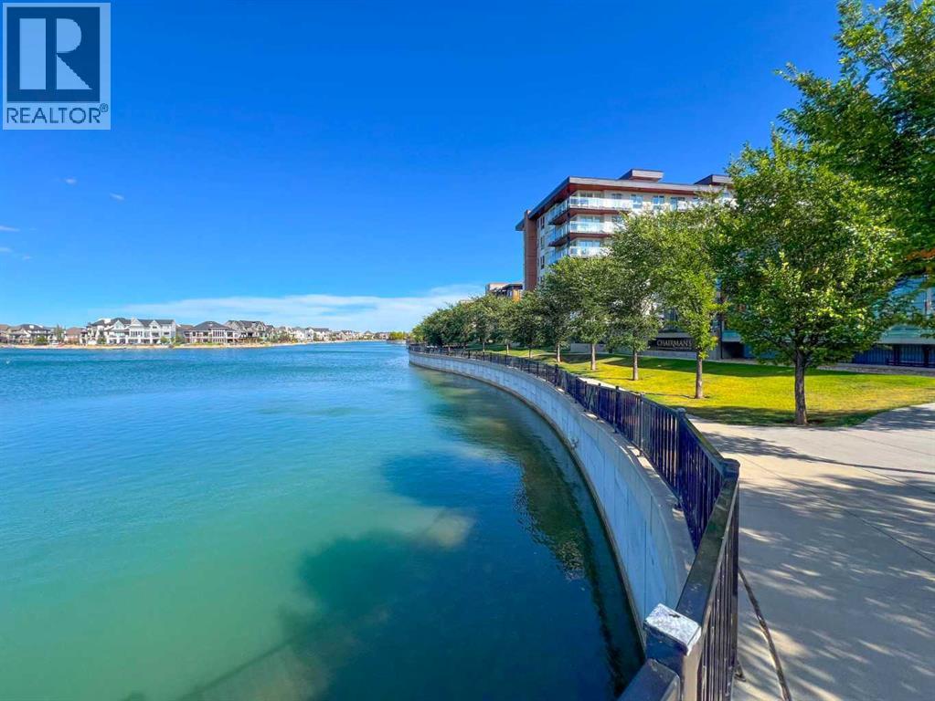 249 Masters Avenue Se, Calgary, Alberta  T3M 2C1 - Photo 47 - A2276654