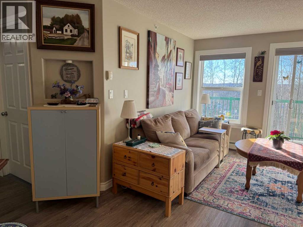 402, 5428 51 Avenue, Rocky Mountain House, Alberta  T4T 1W1 - Photo 8 - A2279443