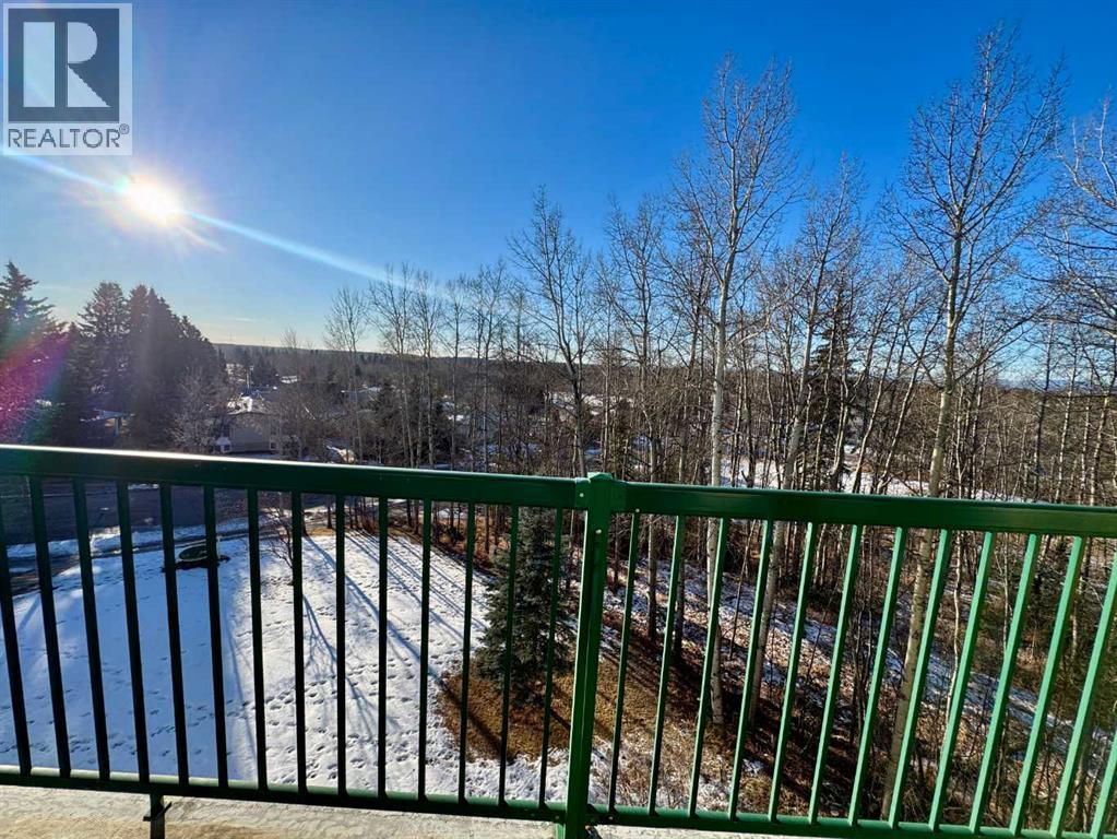 402, 5428 51 Avenue, Rocky Mountain House, Alberta  T4T 1W1 - Photo 34 - A2279443