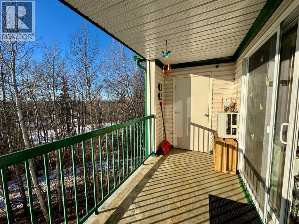 402, 5428 51 Avenue, Rocky Mountain House, Alberta  T4T 1W1 - Photo 35 - A2279443