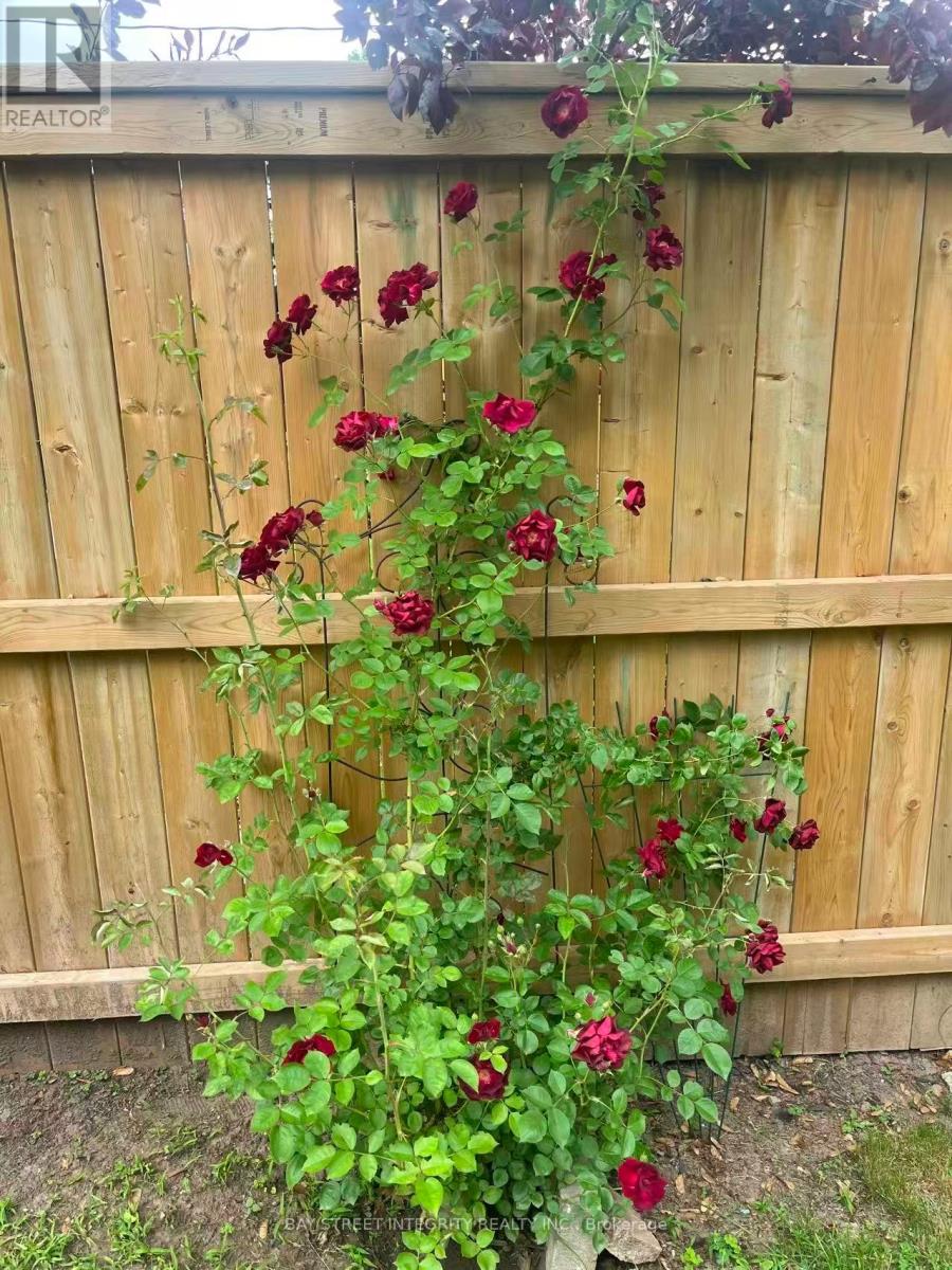 1224 Grange Road, Oakville, Ontario  L6H 1P7 - Photo 43 - W12738066