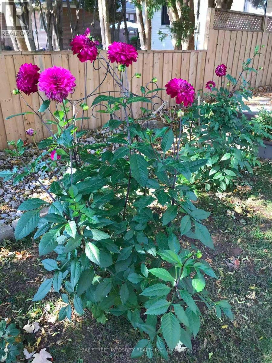 1224 Grange Road, Oakville, Ontario  L6H 1P7 - Photo 46 - W12738066