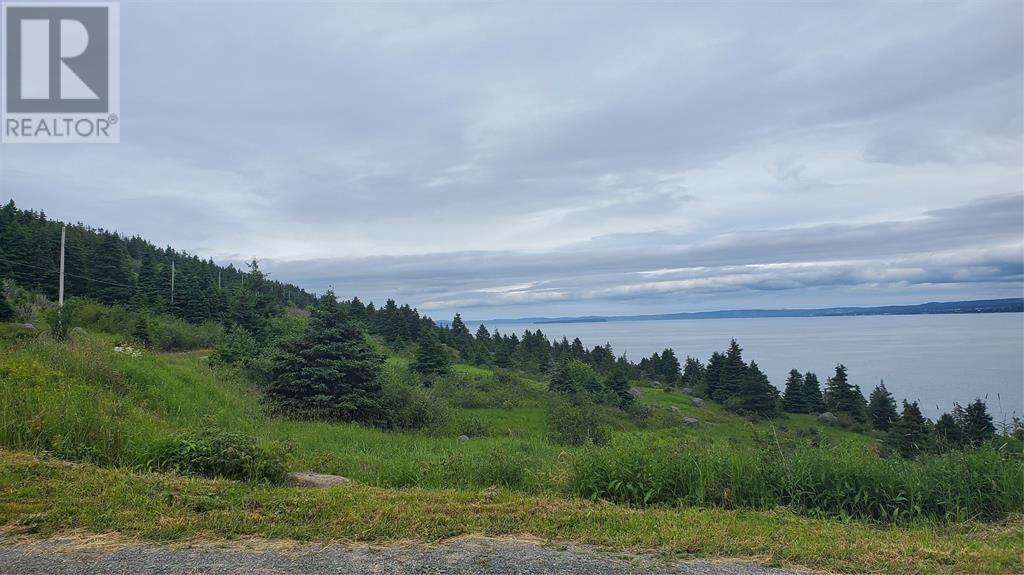 300-316 Corporal Jamie Murphy Memorial Drive, Conception Harbour, Newfoundland & Labrador  A0A 1Z0 - Photo 3 - 1294152