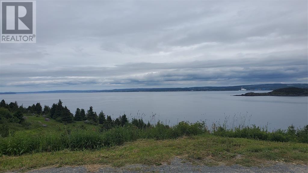 300-316 Corporal Jamie Murphy Memorial Drive, Conception Harbour, Newfoundland & Labrador  A0A 1Z0 - Photo 6 - 1294152