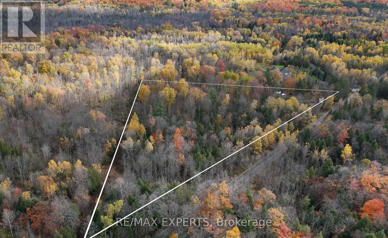 4530 19th Side Road, King, Ontario  L0G 1J0 - Photo 7 - N12488714