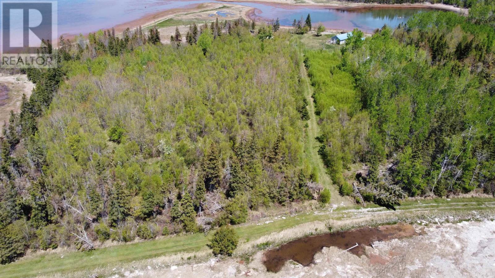 354 Horton Point Road, North Shore, Nova Scotia  B0K 1E0 - Photo 32 - 202506054