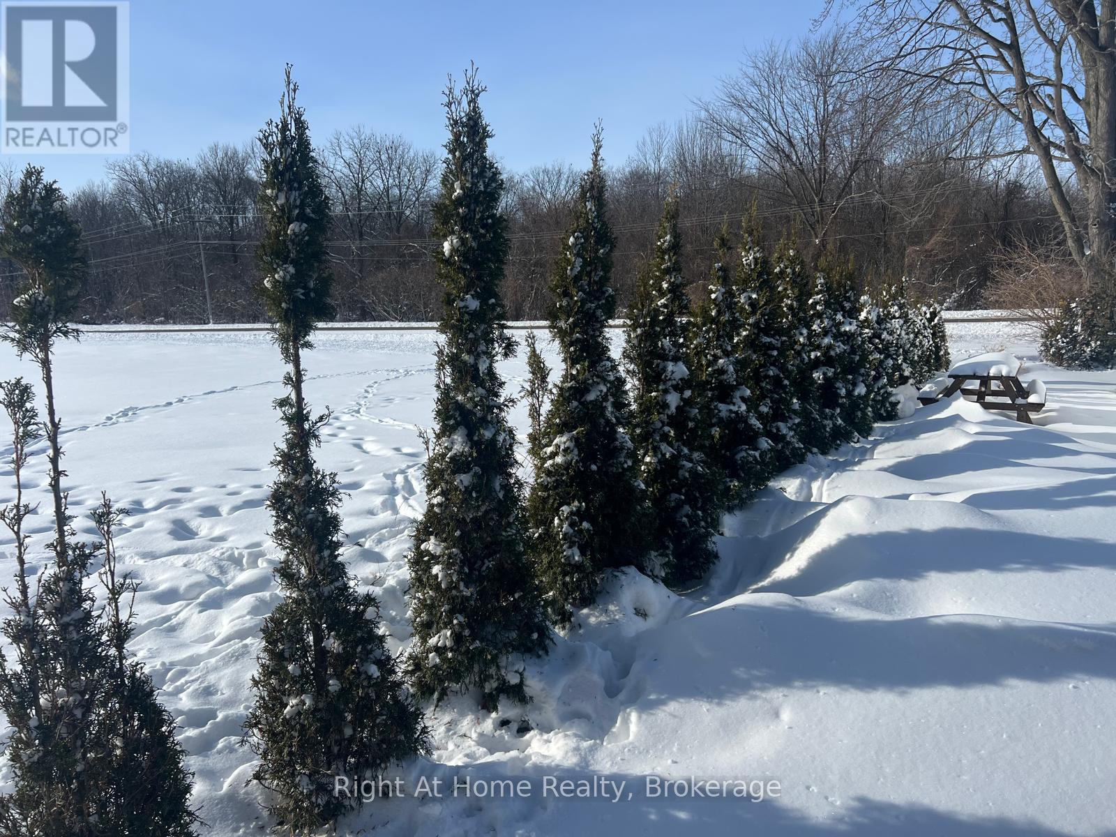 13192 Fysh Line, Chatham-Kent, Ontario  N0P 2K0 - Photo 32 - X12737850