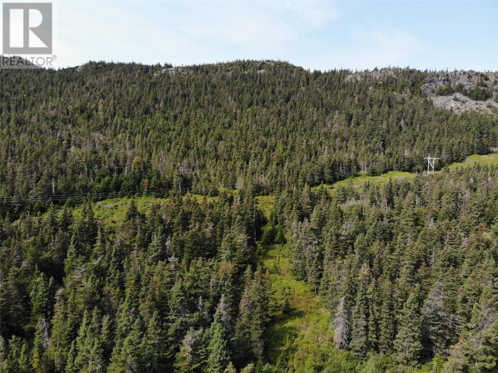 136 Main Street Unit#a, Clarkes Beach, Newfoundland & Labrador  A0A 1W0 - Photo 10 - 1294186