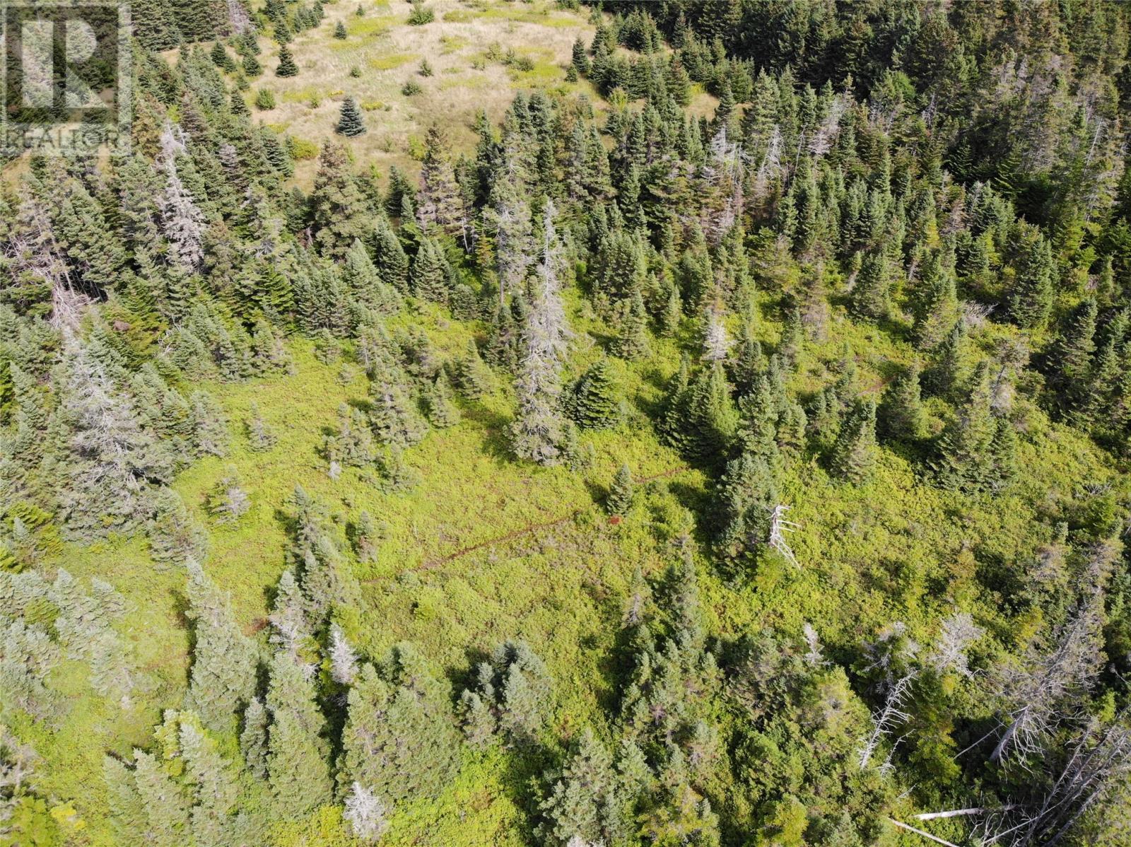 136 Main Street Unit#a, Clarkes Beach, Newfoundland & Labrador  A0A 1W0 - Photo 7 - 1294186