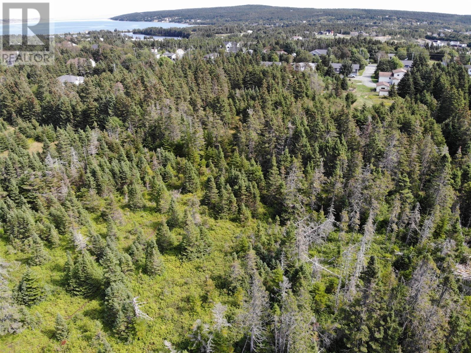 136 Main Street Unit#a, Clarkes Beach, Newfoundland & Labrador  A0A 1W0 - Photo 8 - 1294186