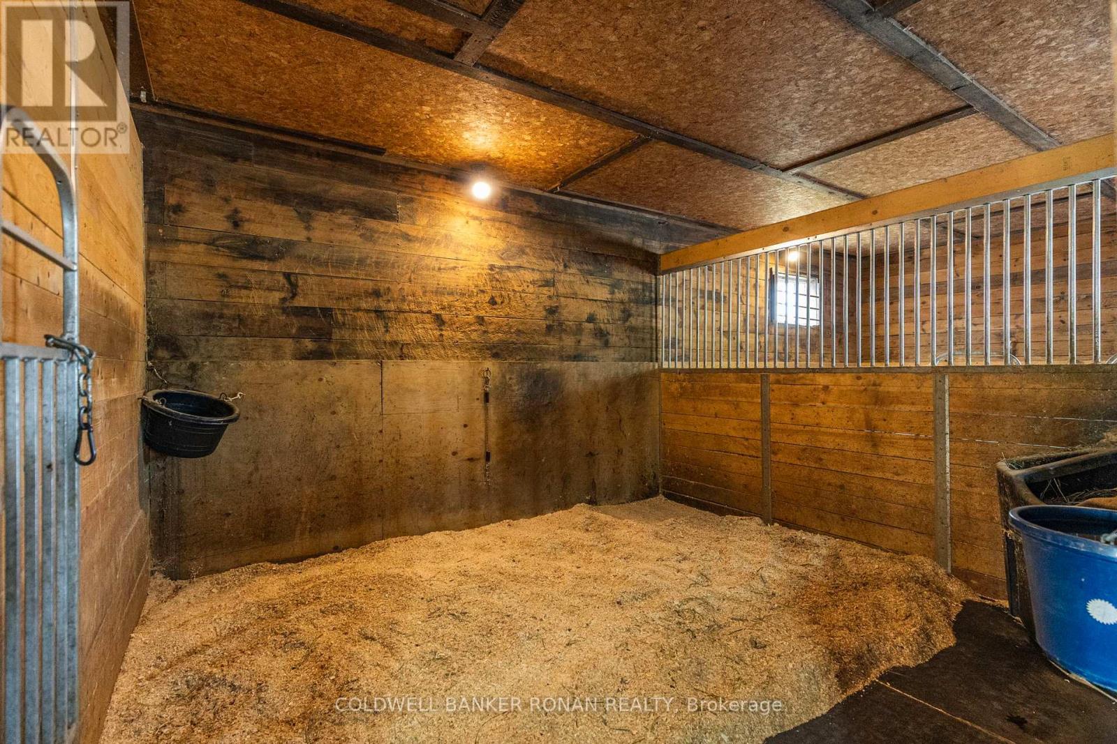 4582 Concession Road 5, Adjala-Tosorontio (Loretto), Ontario  L0G 1L0 - Photo 38 - N12738538