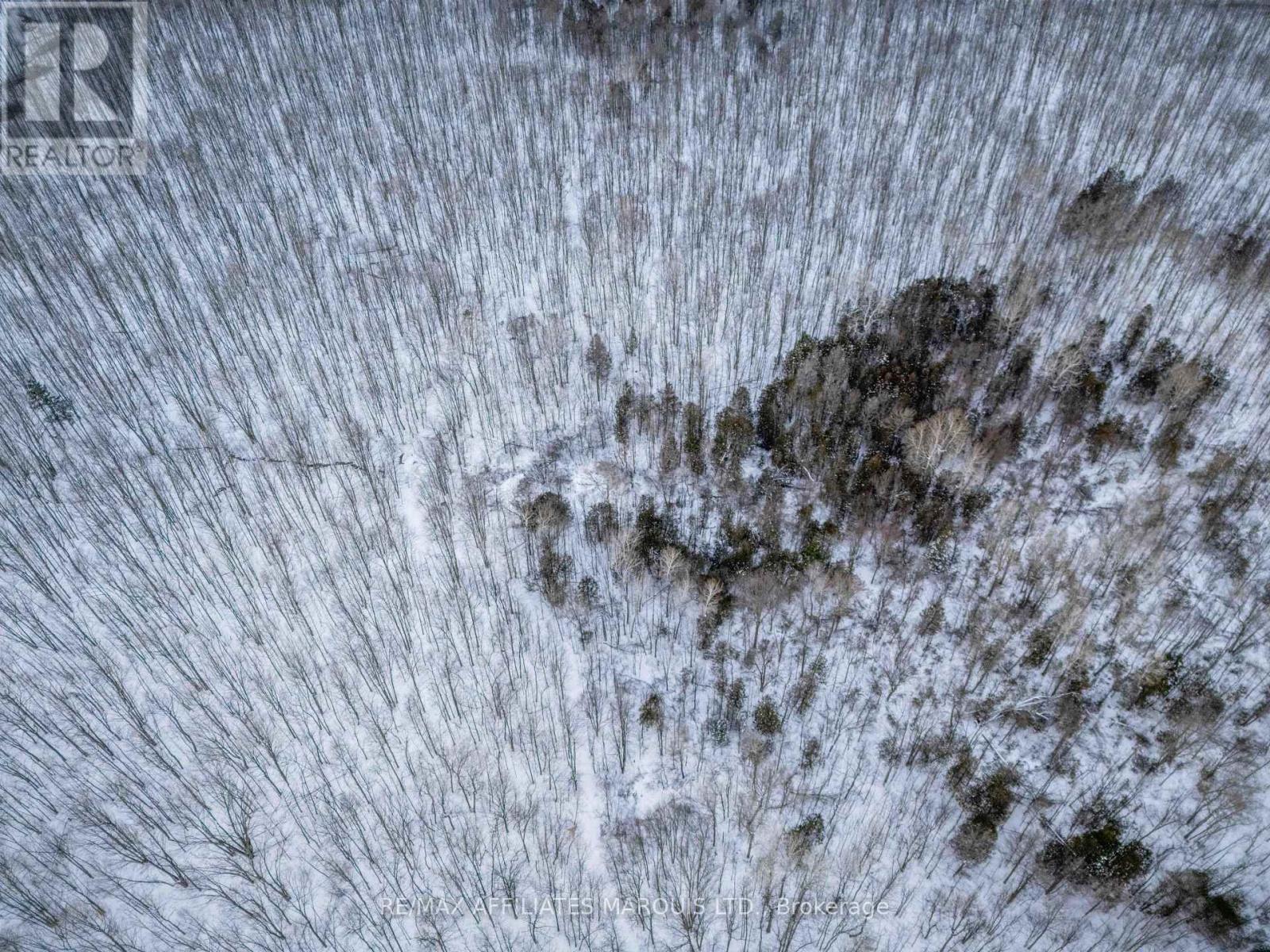 Lot Concession 10 Road, South Glengarry, Ontario  K0C 1A0 - Photo 10 - X12738608