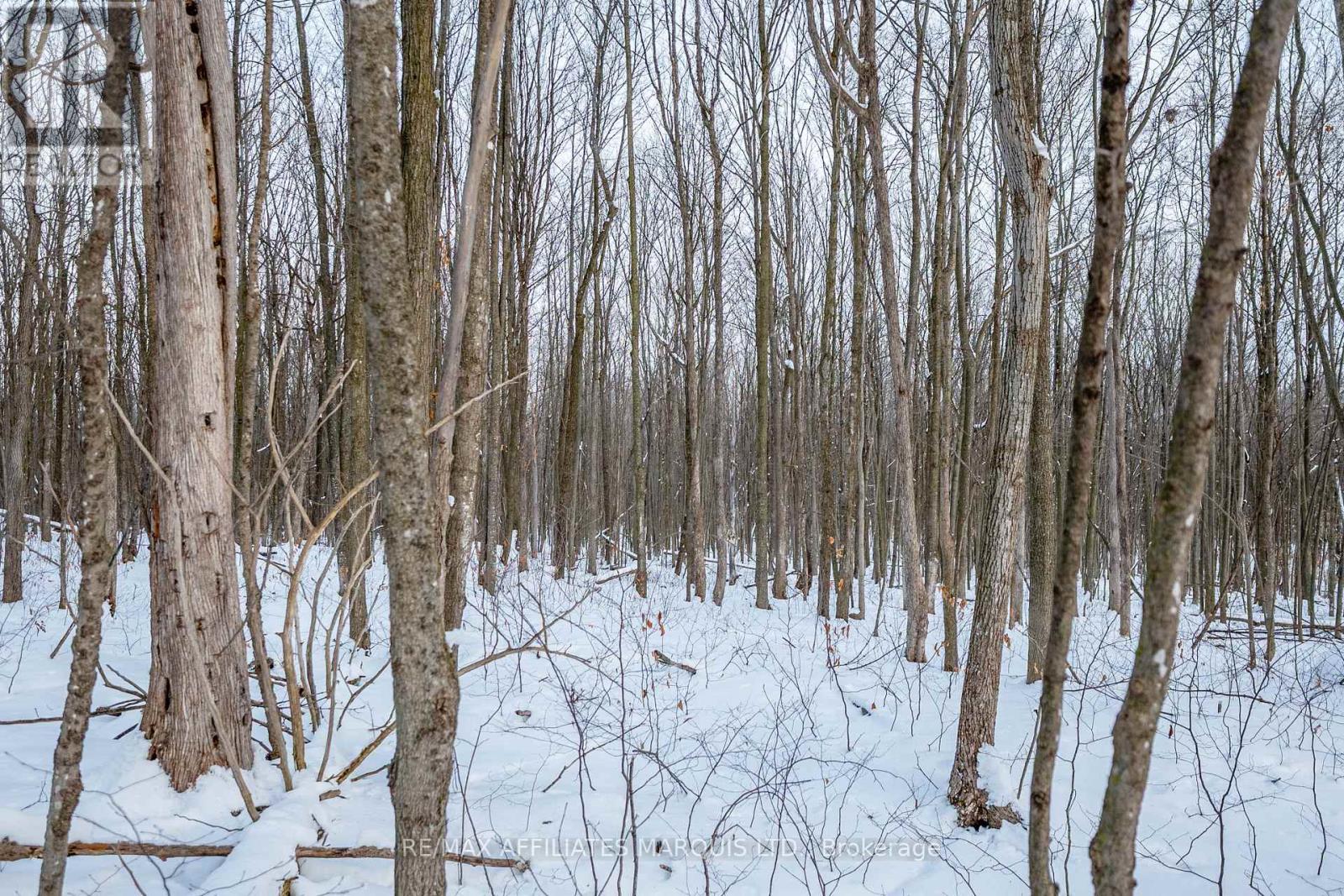 Lot Concession 10 Road, South Glengarry, Ontario  K0C 1A0 - Photo 12 - X12738608