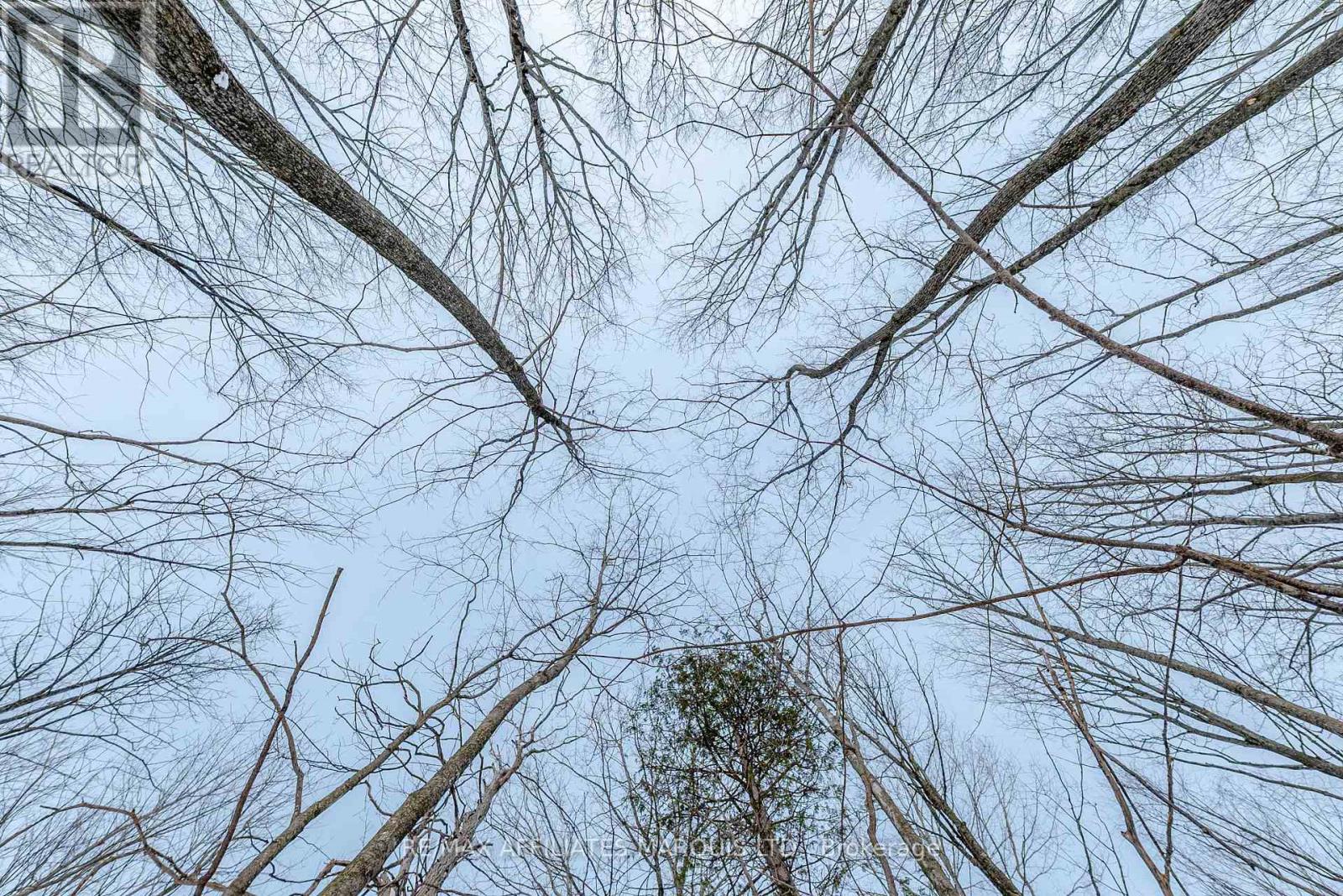 Lot Concession 10 Road, South Glengarry, Ontario  K0C 1A0 - Photo 13 - X12738608