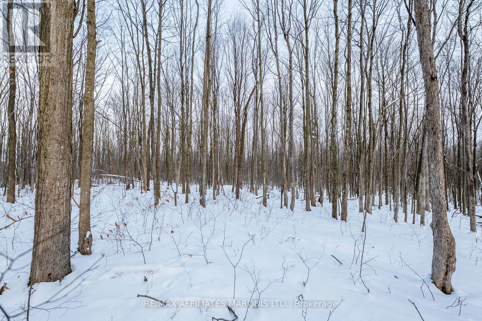 Lot Concession 10 Road, South Glengarry, Ontario  K0C 1A0 - Photo 14 - X12738608