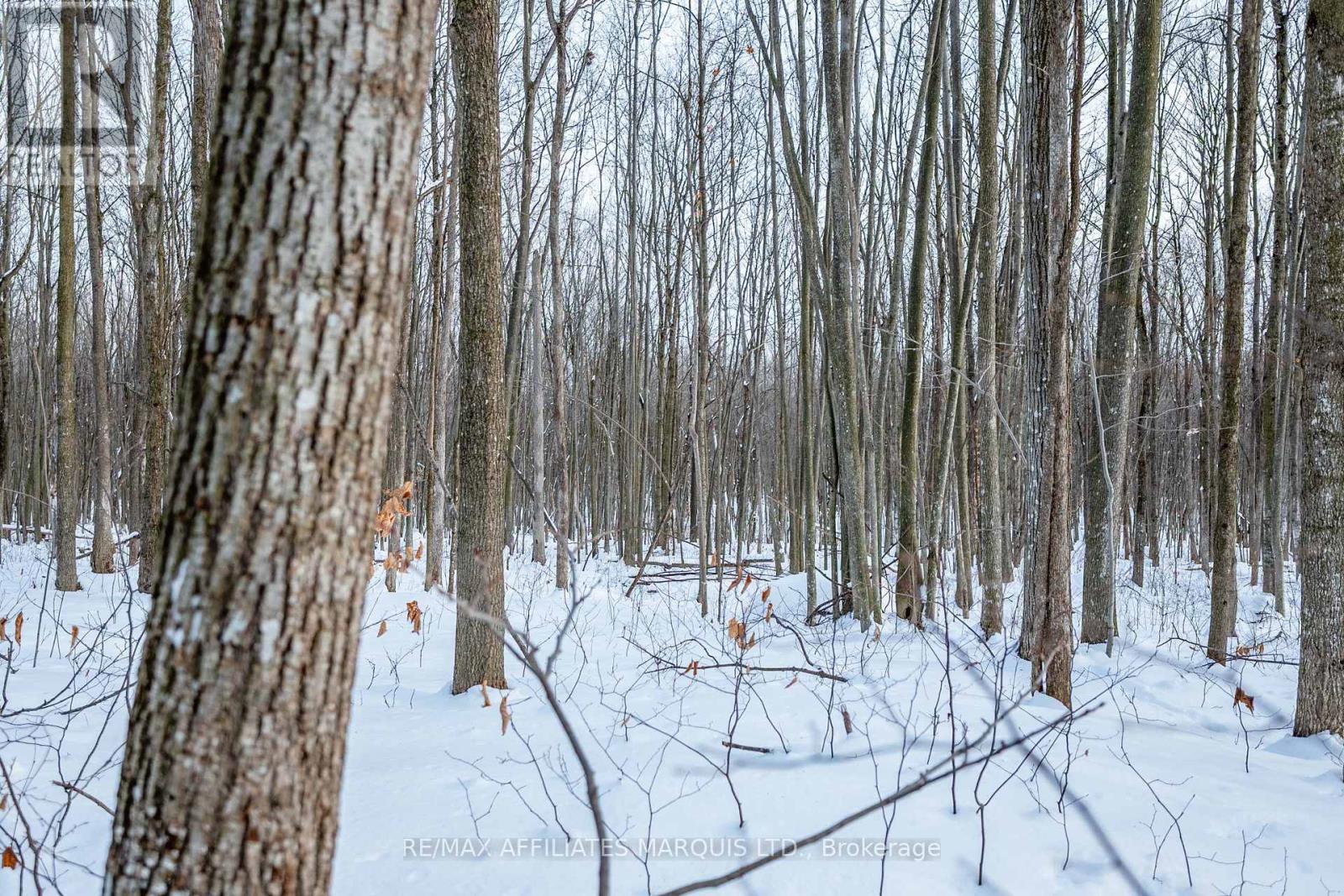 Lot Concession 10 Road, South Glengarry, Ontario  K0C 1A0 - Photo 16 - X12738608