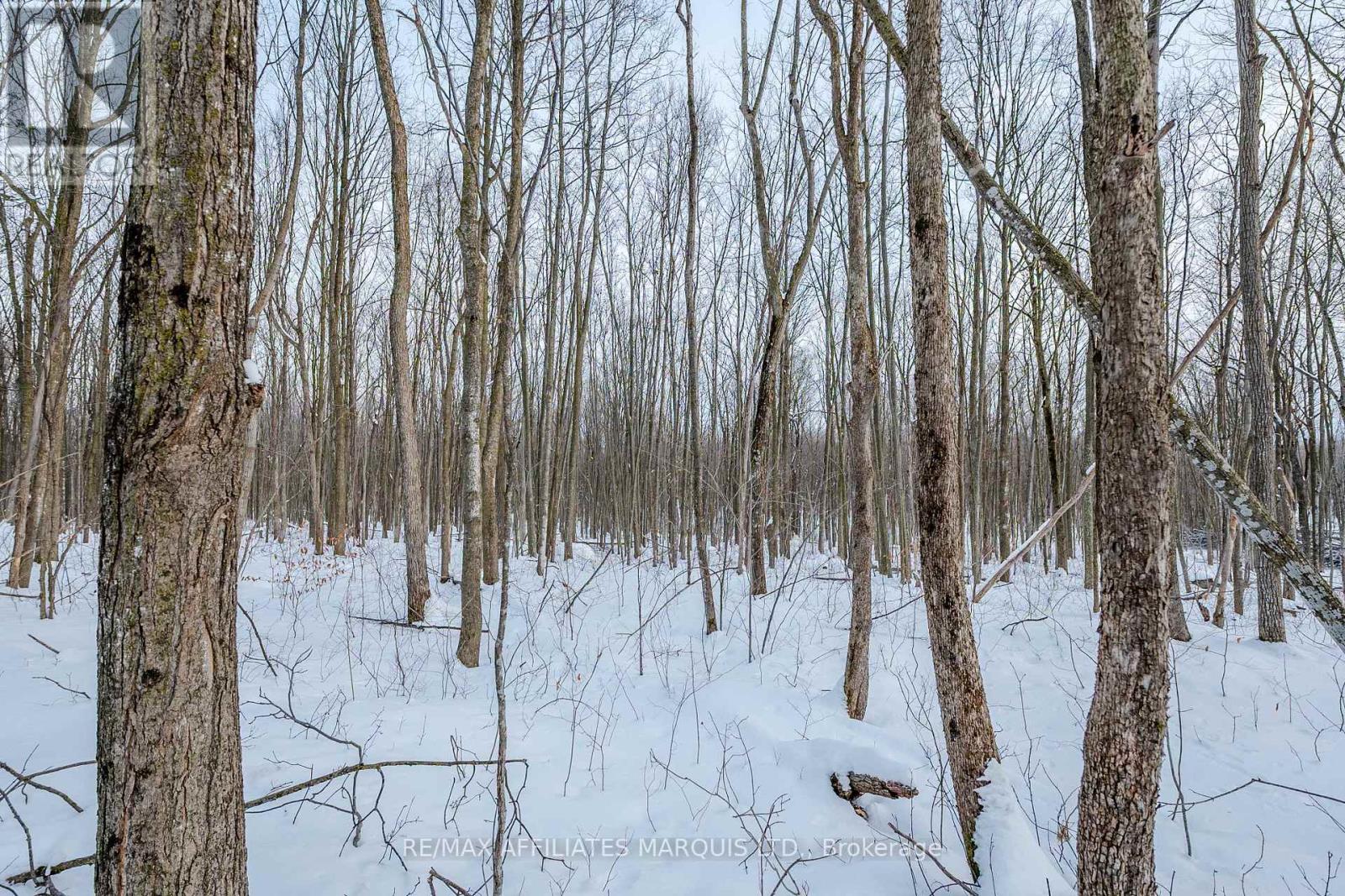 Lot Concession 10 Road, South Glengarry, Ontario  K0C 1A0 - Photo 8 - X12738608