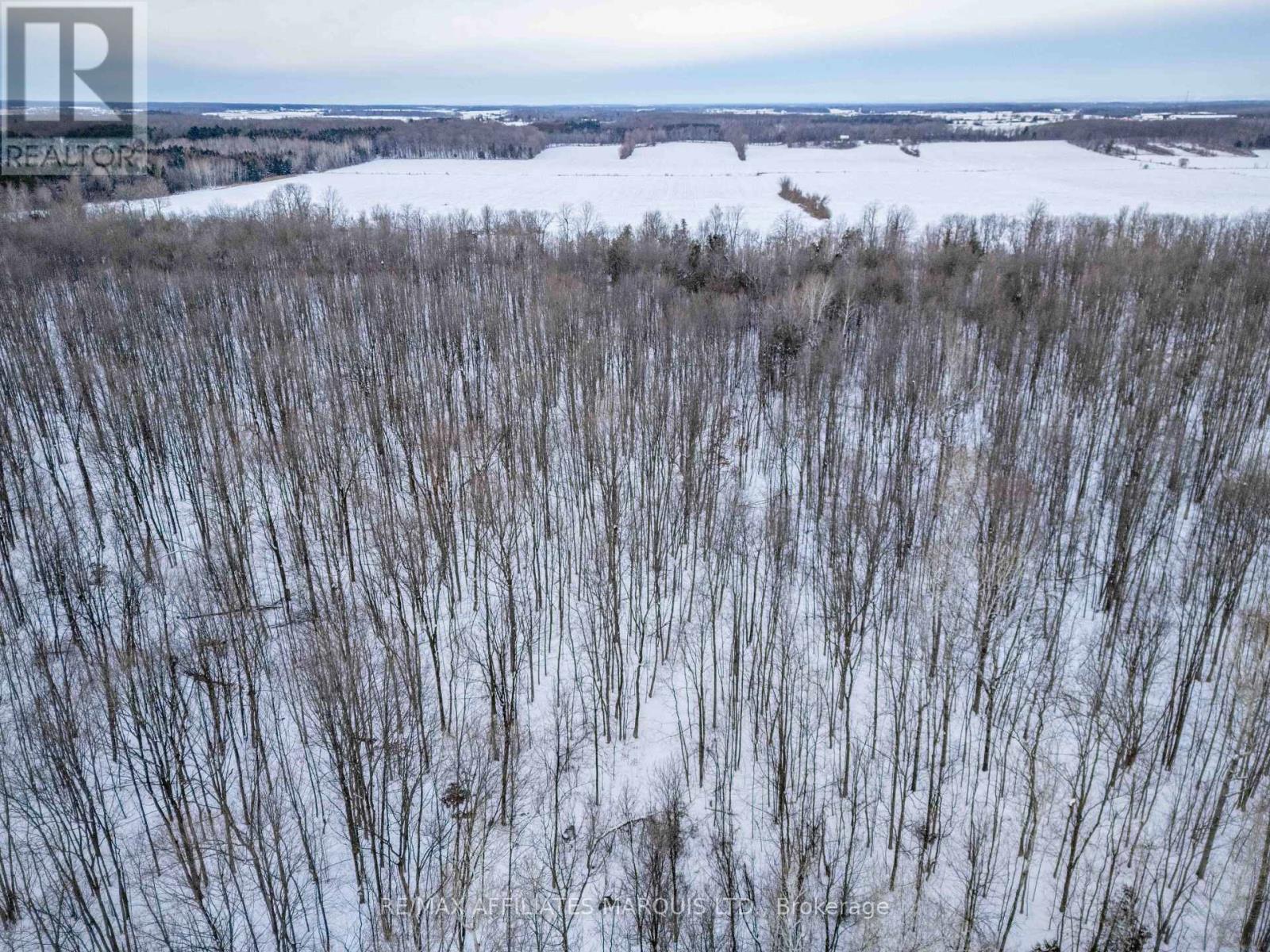 Lot Concession 10 Road, South Glengarry, Ontario  K0C 1A0 - Photo 9 - X12738608