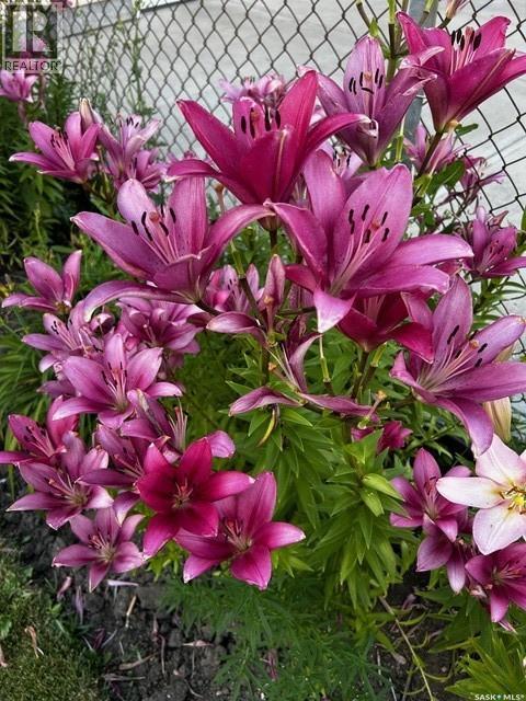 3217 6th Avenue N, Regina, Saskatchewan  S4R 0P7 - Photo 50 - SK027542