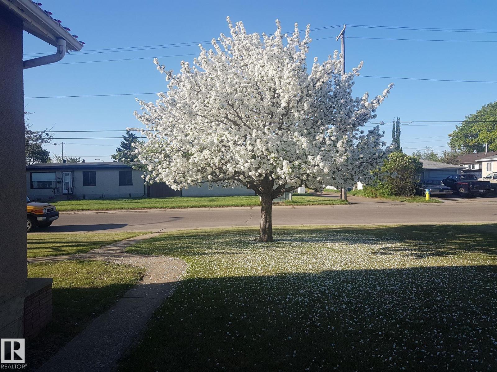 7424 128 Av Nw, Edmonton, Alberta  T5C 1T1 - Photo 38 - E4471222