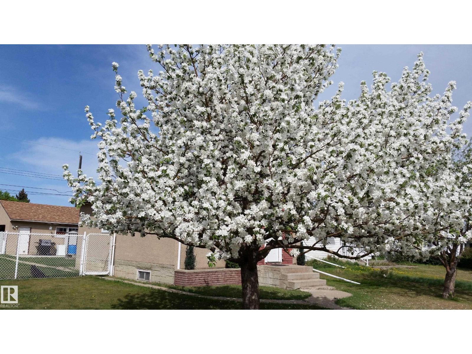 7424 128 Av Nw, Edmonton, Alberta  T5C 1T1 - Photo 39 - E4471222