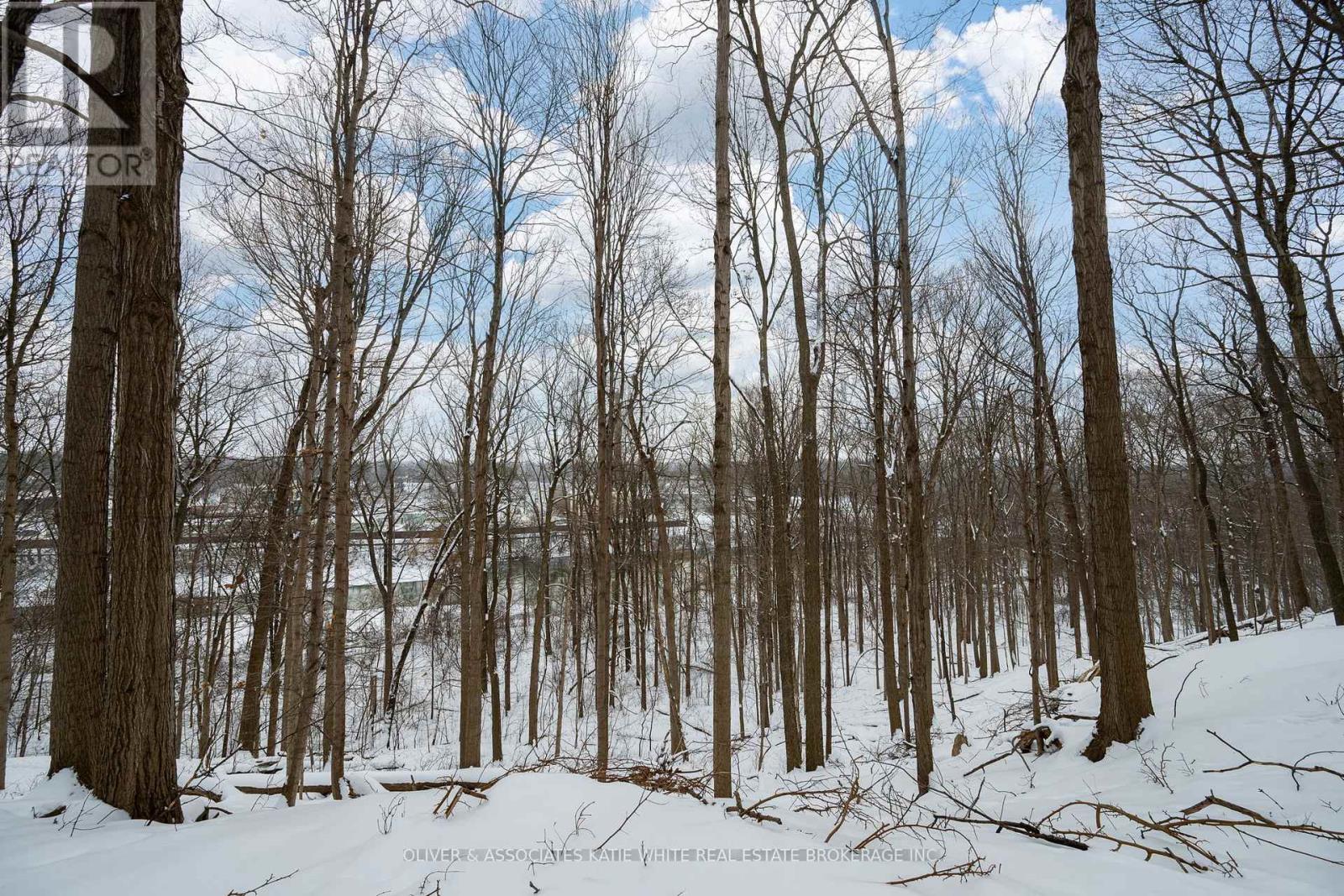 420 Riverside Drive, London North, Ontario  N6H 2R7 - Photo 3 - X12738790