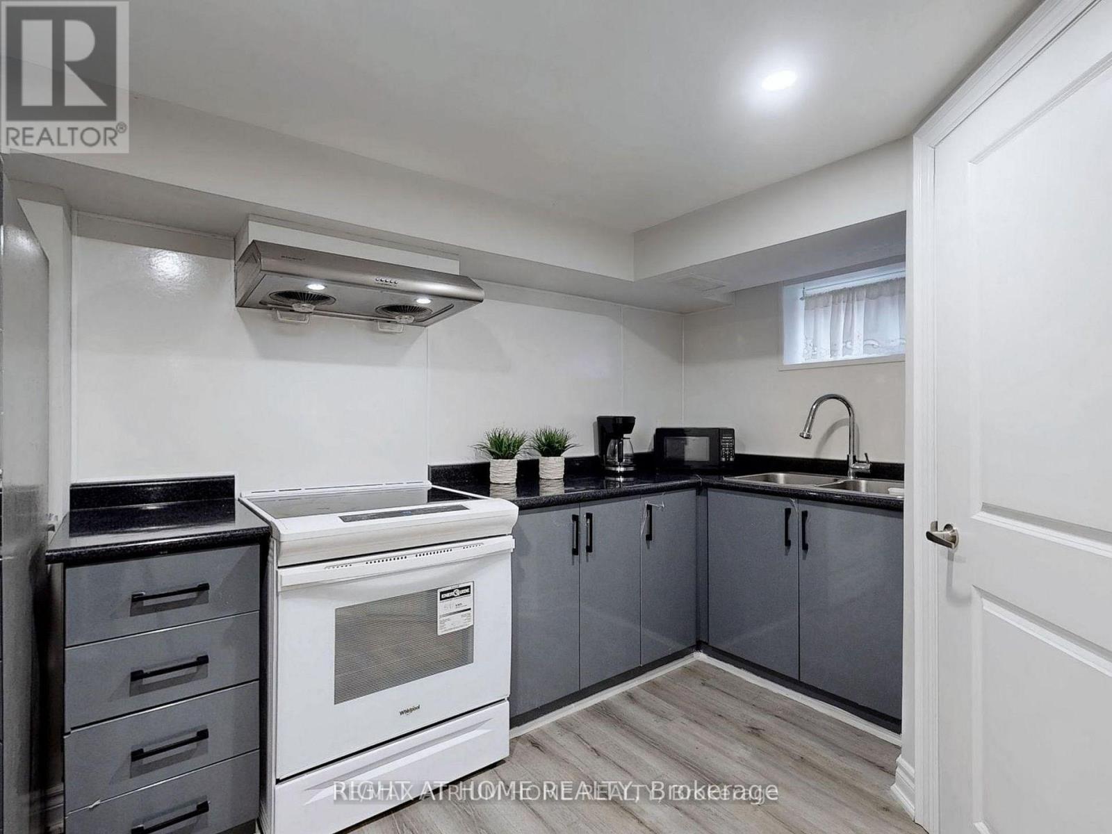 Basement - 347 Osiris Drive, Richmond Hill, Ontario  L4C 2P6 - Photo 4 - N12738784