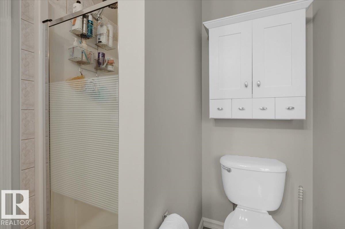 21933 94a Av Nw, Edmonton, Alberta  T5T 1N1 - Photo 38 - E4471416