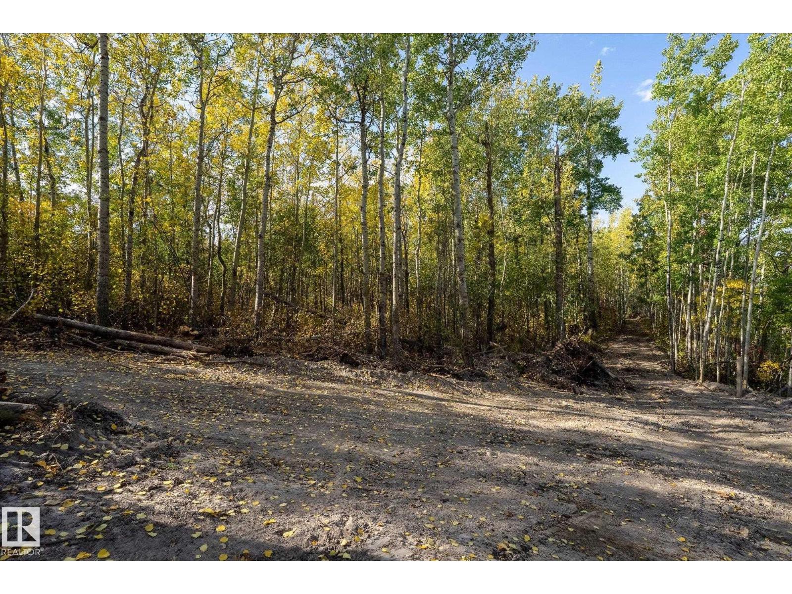 Twp 510 & Range Road 221, Rural Leduc County, Alberta  T0B 3M2 - Photo 3 - E4471420