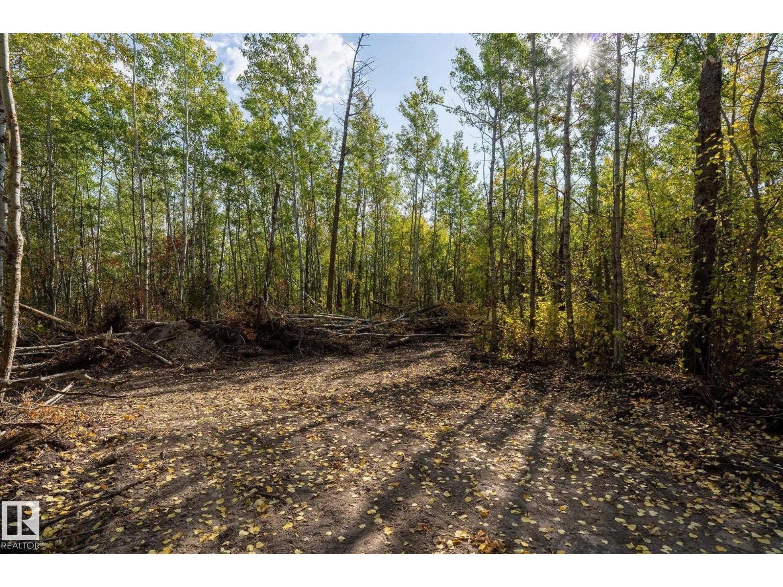 Twp 510 & Range Road 221, Rural Leduc County, Alberta  T0B 3M2 - Photo 4 - E4471420