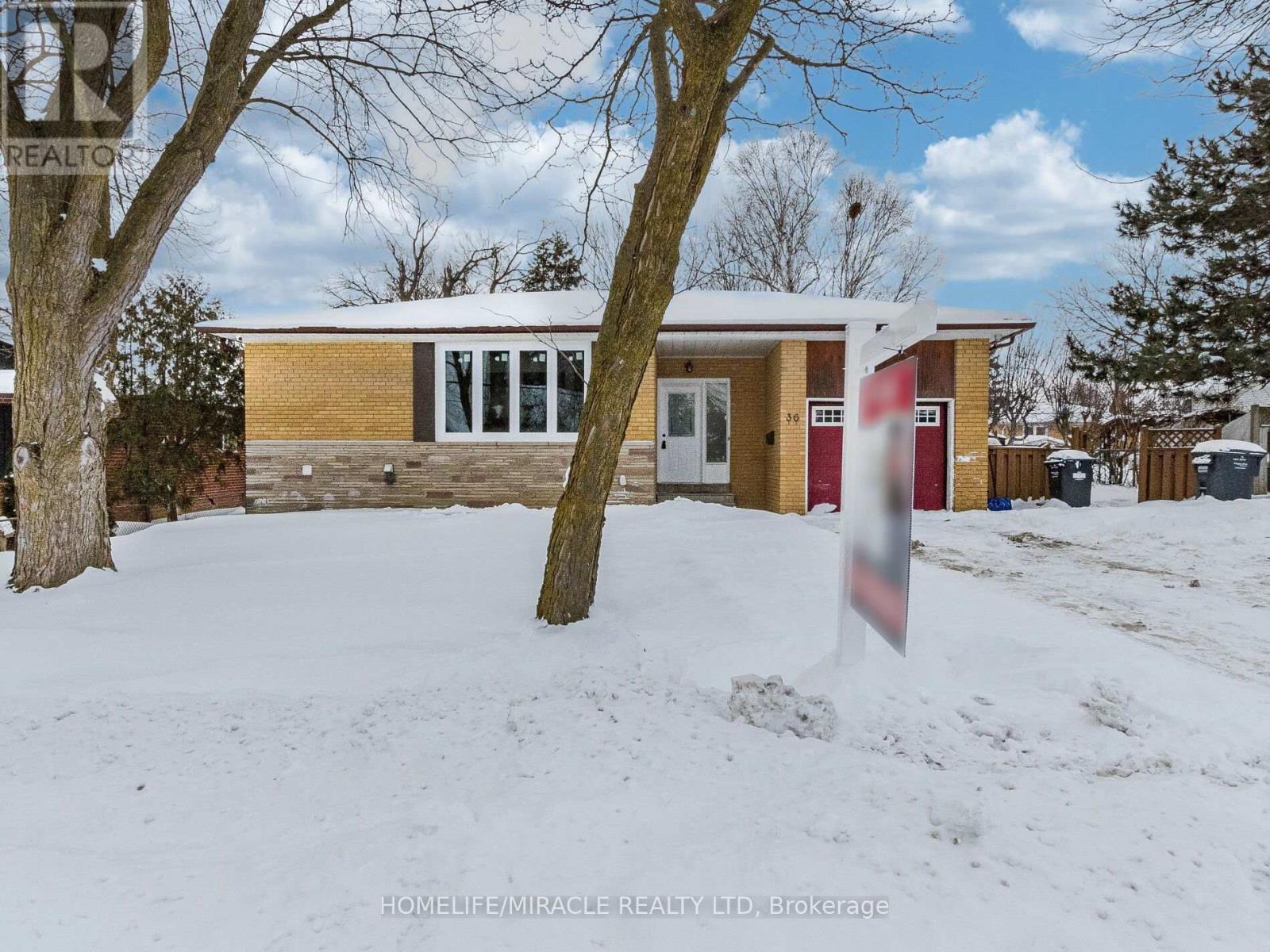 36 Mclaughlin Road N, Brampton (Northwood Park), Ontario  L6X 1Y5 - Photo 3 - W12738714