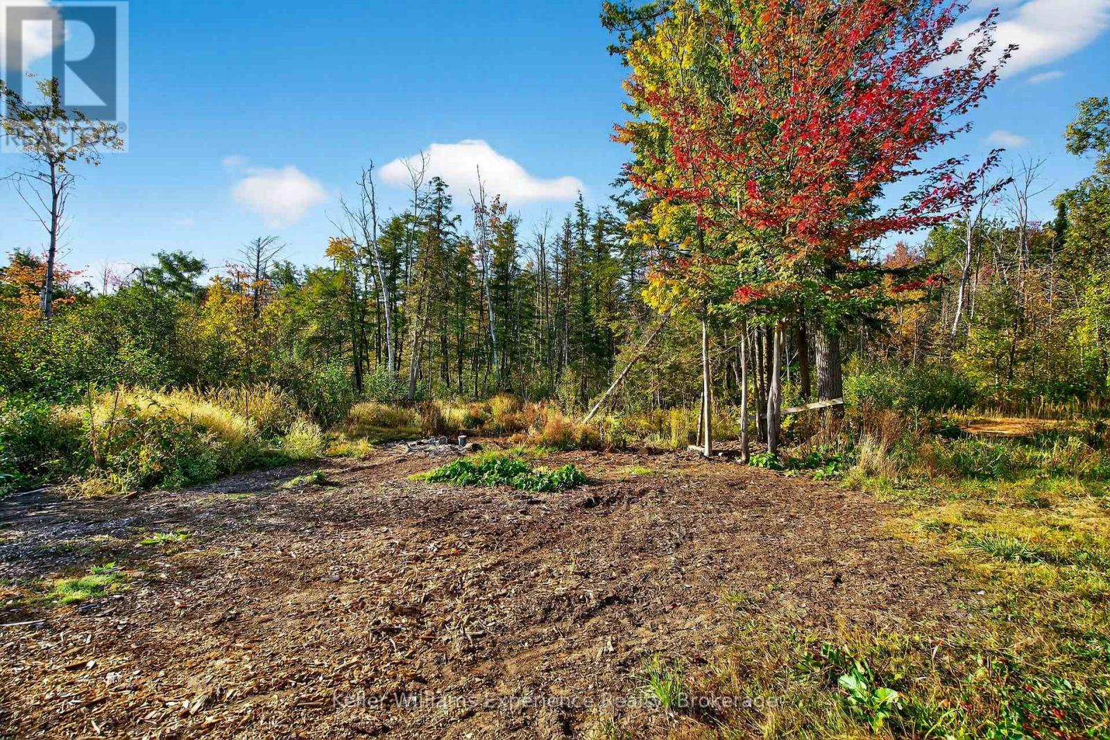 556 Champlain Road, Tiny, Ontario L9M 0C2 - Photo 41 - S12738918