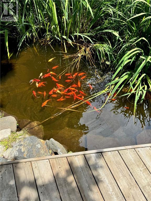 235 Bush Clover Crescent, Kitchener, Ontario  N2E 3P7 - Photo 42 - 40800929