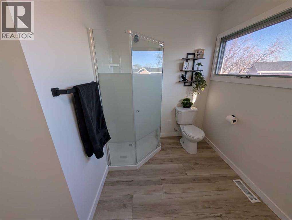 294 Fleet Street Sw, Medicine Hat, Alberta  T1A 7Z5 - Photo 17 - A2272149