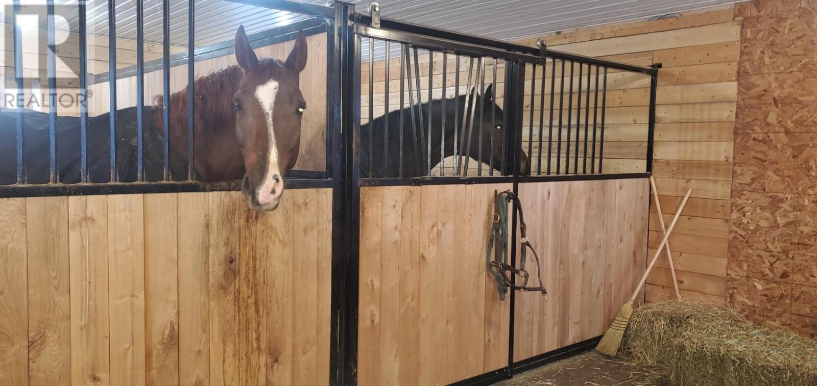 127 Peters Road, Pembroke, Prince Edward Island  C0A 1R0 - Photo 10 - 202601687