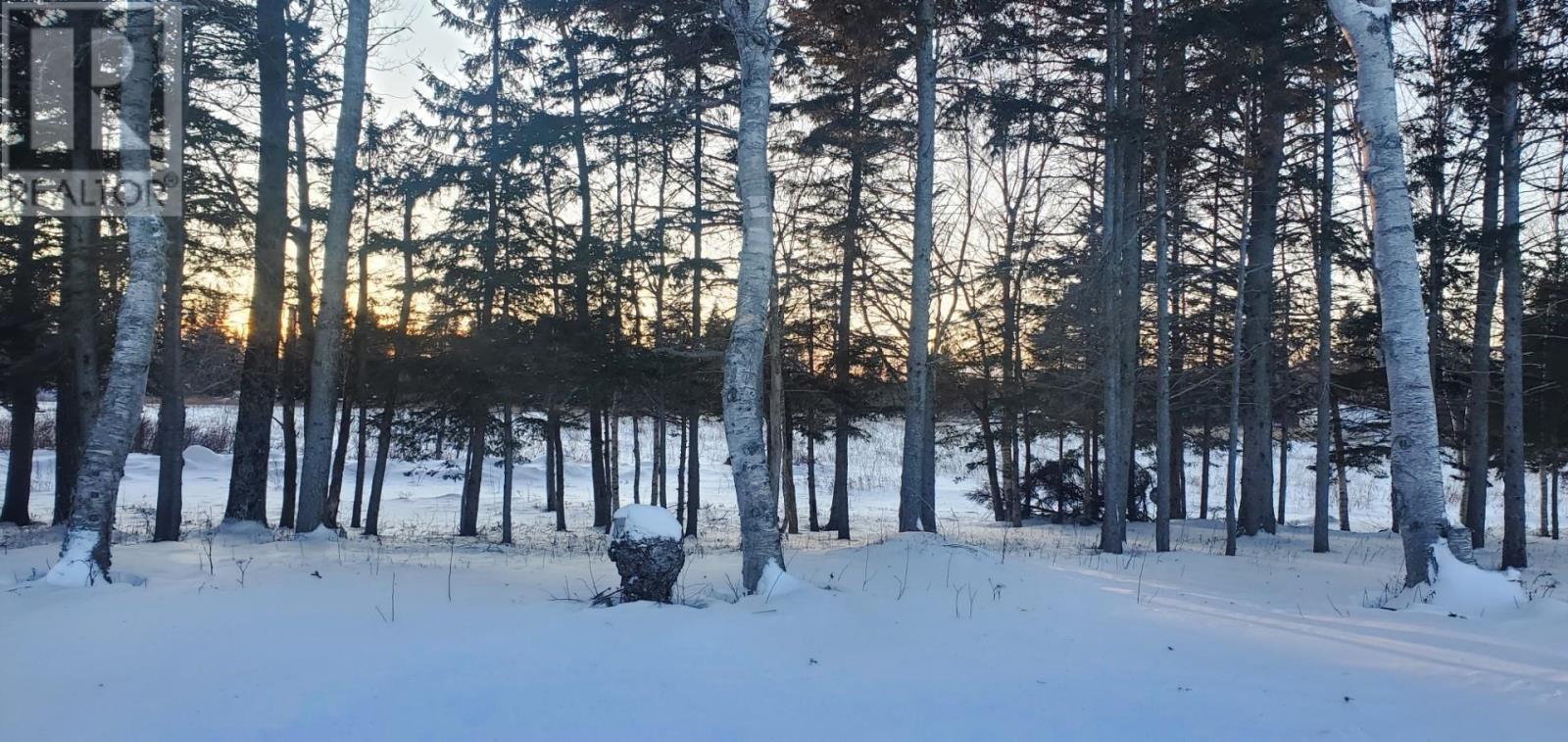 127 Peters Road, Pembroke, Prince Edward Island  C0A 1R0 - Photo 12 - 202601687