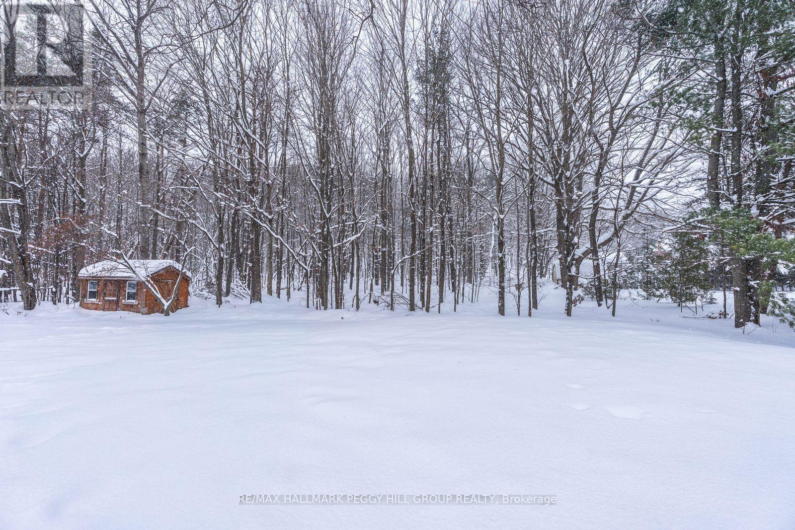 63 Idlewood Drive, Springwater, Ontario  L9X 0P5 - Photo 25 - S12738902