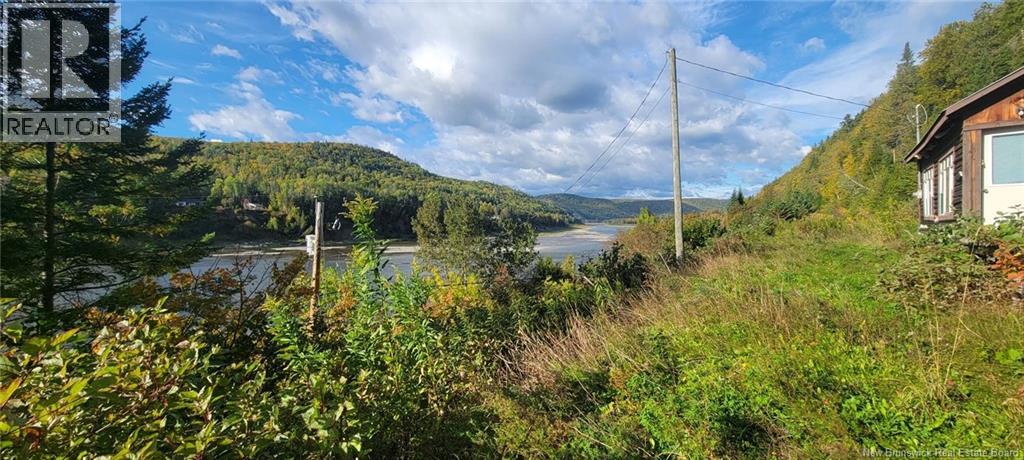 Vacant Lot & Restigouche River Road, Mann Mountain Settlement, New Brunswick  E3N 4X1 - Photo 11 - NB132859