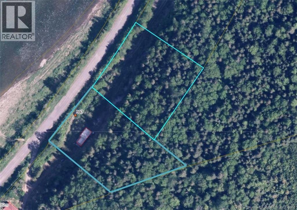 Vacant Lot & Restigouche River Road, Mann Mountain Settlement, New Brunswick  E3N 4X1 - Photo 7 - NB132859